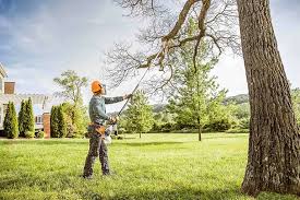 Best Firewood Processing and Delivery  in Patchogue, NY