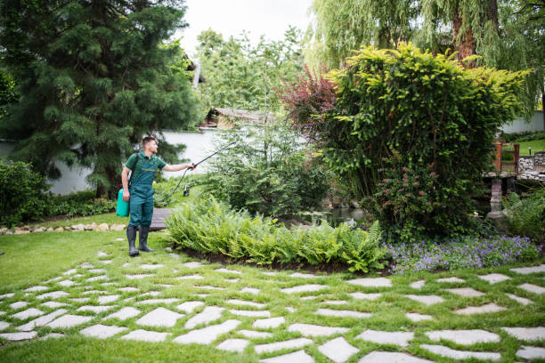 Professional Tree Services in Patchogue, NY