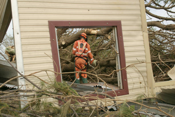 Best Commercial Tree Services  in Patchogue, NY